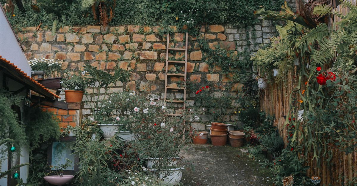 Patio interior con canteros de plantas y muro encalado bajo luz cálida