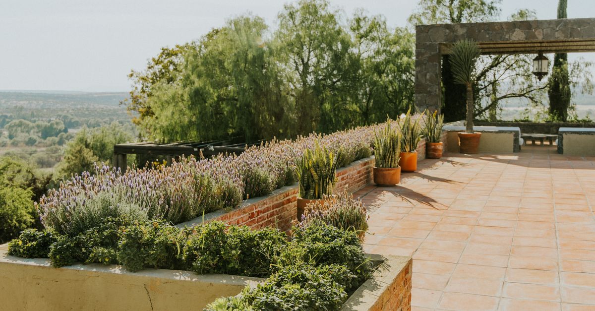 Terraza con macetas de barro, plantas resistentes al sol y vista abierta